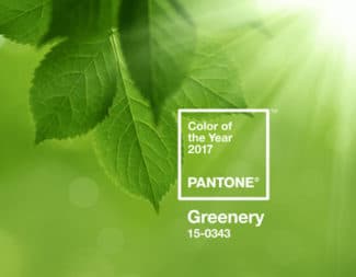 Pantone Greenery