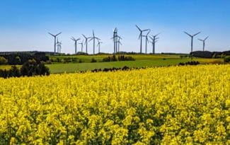 UPM setzt auf Nachhaltigkeit und will dazu Windkraft nutzen