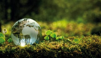 Nachhaltigkeit ist das Gebot der Stunde, um unsere Natur zu schützen. Möglichkeiten gibt es dazu viele (Quelle: Shutterstock)
