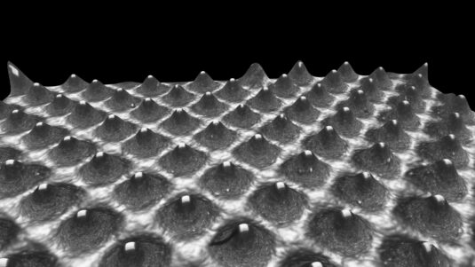 Sibress FADS3D kann eine hochauflösende, perspektivische 3D-Darstellung des erfassten Plattenbereichs liefern (Quelle: Sibress)