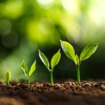 Die Unternehmen HT Labelprint, Optikett und SC Etiketten der Optimum Group zählen mit drei EcoVadis-Goldauszeichnungen zu den besten fünf Prozent (Quelle: EcoVadis)