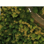 Mit dem neuen Sustainable Print Manifesto legt die globale Druckindustrie Umweltprinzipien für alle Segmente der Druckindustrie fest (Quelle: Bespoke)